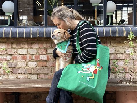 wunderdog|wunderdog malaga.